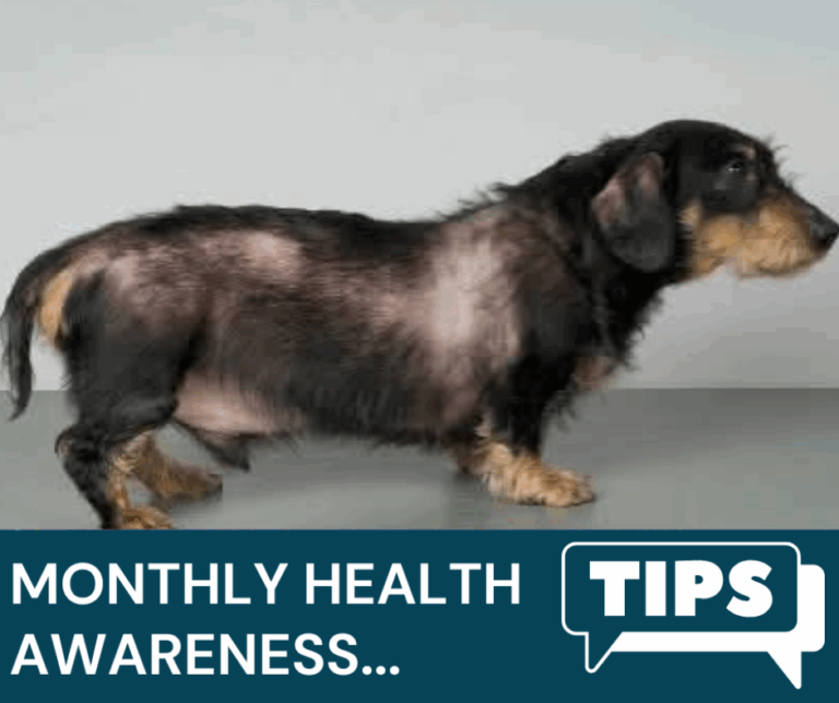 Eden Vets May Newsletter