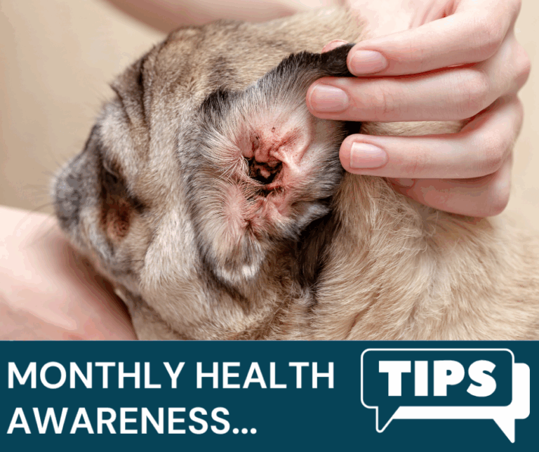July Newletter Monthly health awareness
