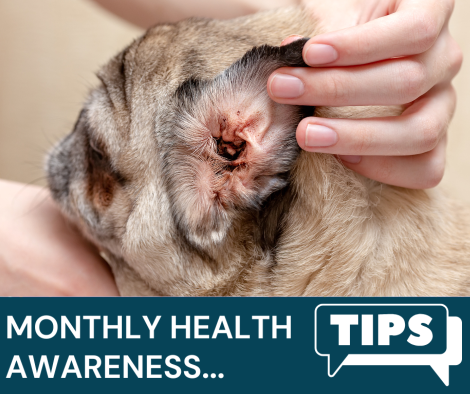 July Newletter Monthly health awareness