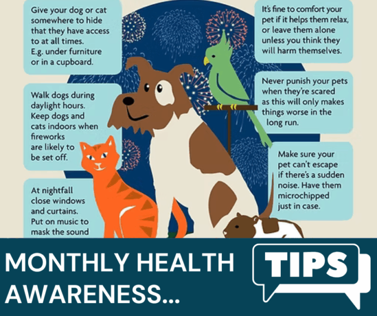 Eden Vets November Newsletter