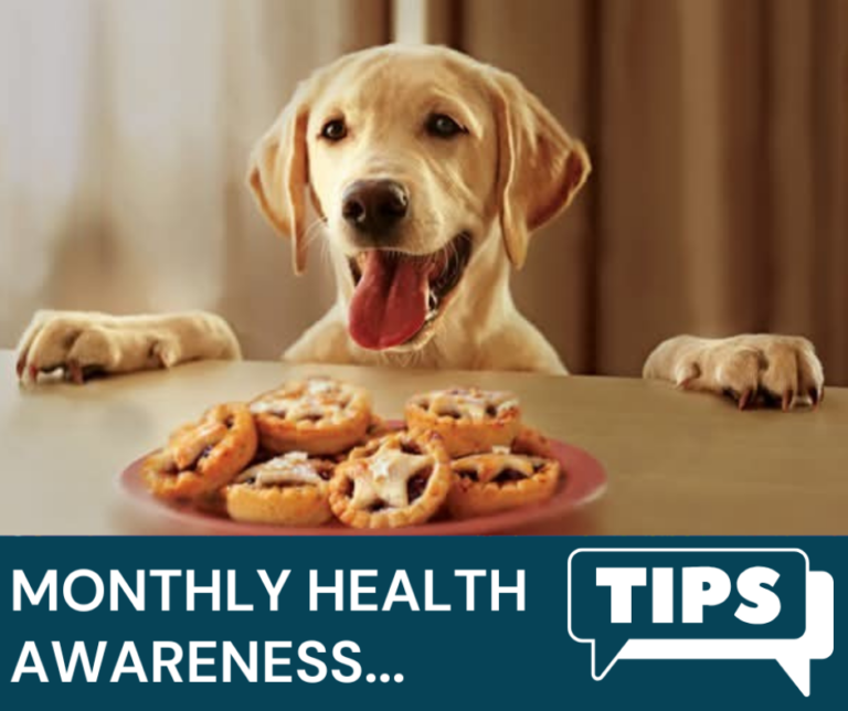 Eden Vets December Newsletter