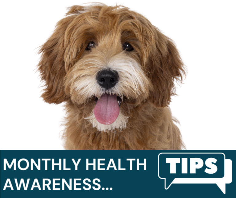 Eden Vets April Newsletter