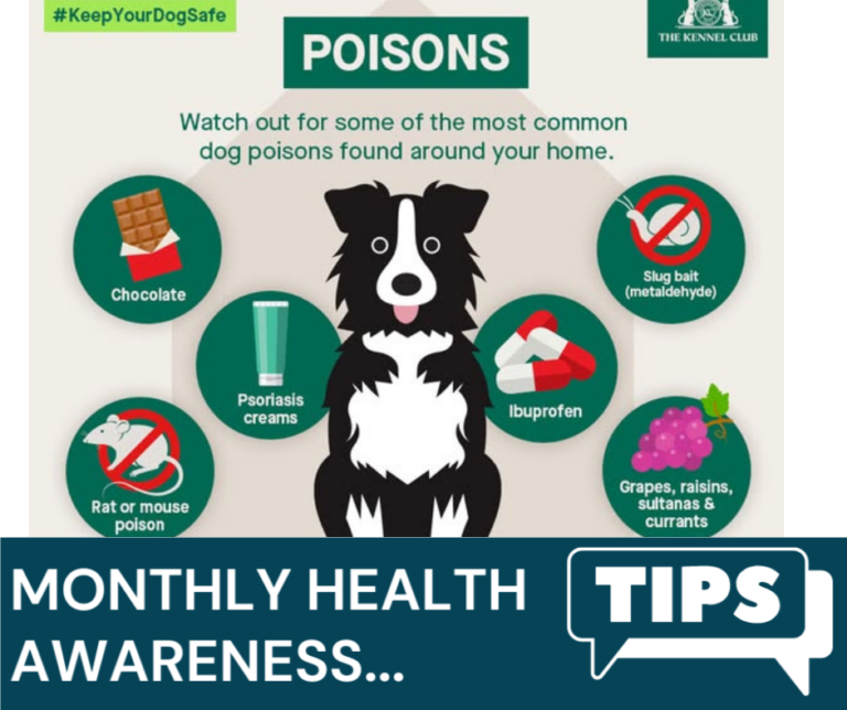 Eden Vets March Newsletter